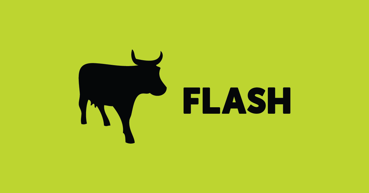 Flash